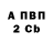Amphetamine Premium Lera Sudorenko