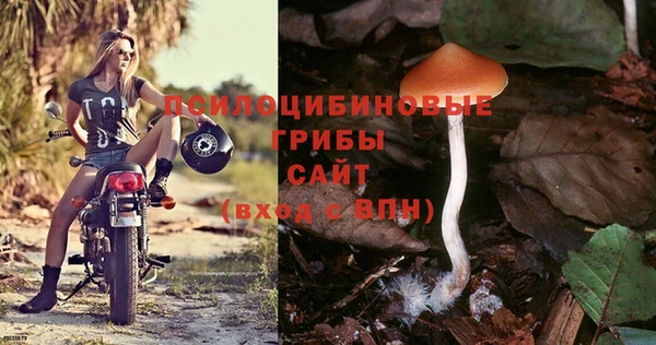 амф Воткинск