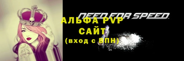 твердый Пестово